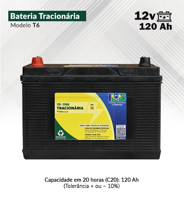 Tracionária T1 (6V __210Ah) – Vipower